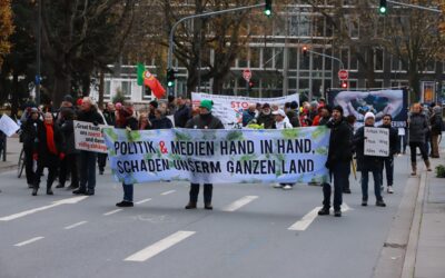 Demo der rechten Verschwörungsszene in Frankfurt