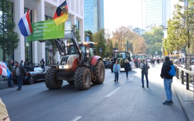 »#WirSindVielMehr«-Demo der rechten Verschwörungsszene in Frankfurt
