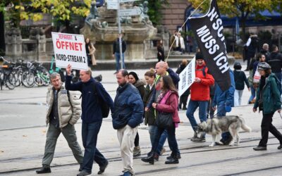 Demo der rechten Ver­schwörungs­szene in Frankfurt